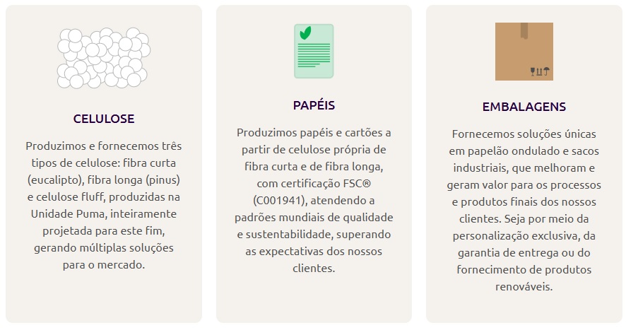 Resumo dos Produtos da Klabin.