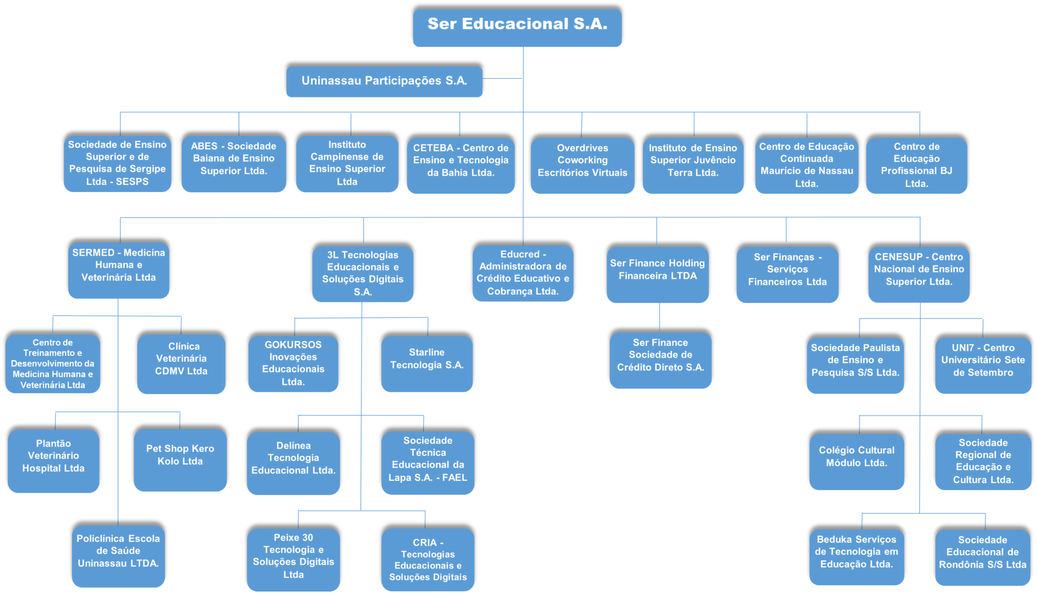 Organograma da Ser Educacional.
