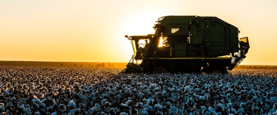 Imagem de Colheita do Modelo de Produção da SLC Agrícola.