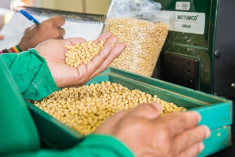 Imagem de Sementes do Modelo de Produção da SLC Agrícola.