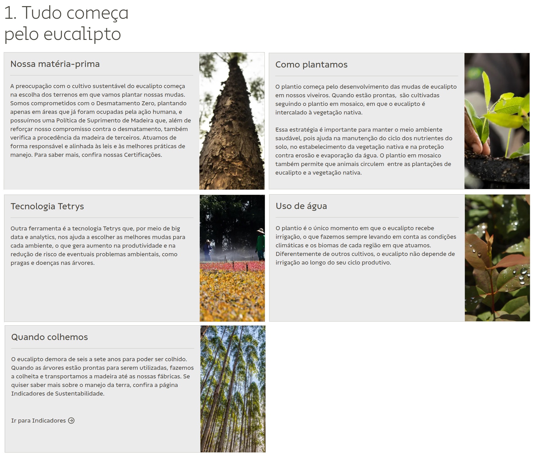 Etapa 1 do processo de produção de matéria-prima.