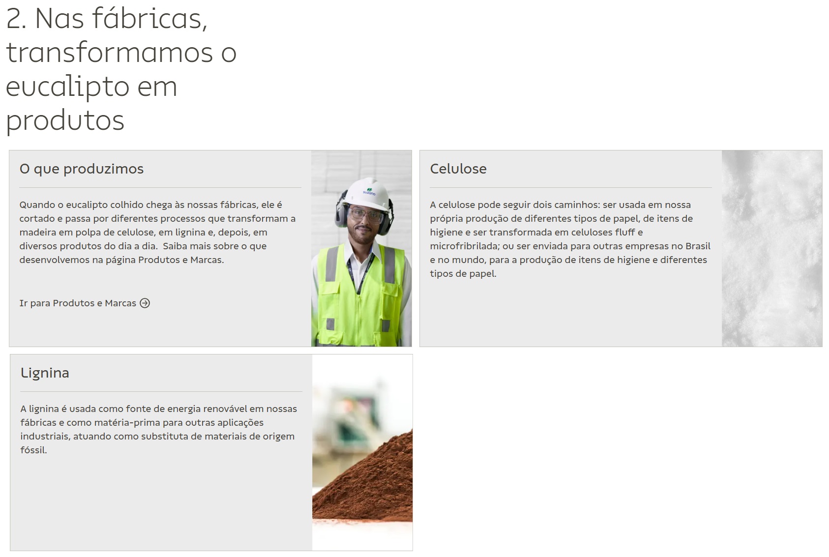 Etapa 2 do processo de produção de matéria-prima.