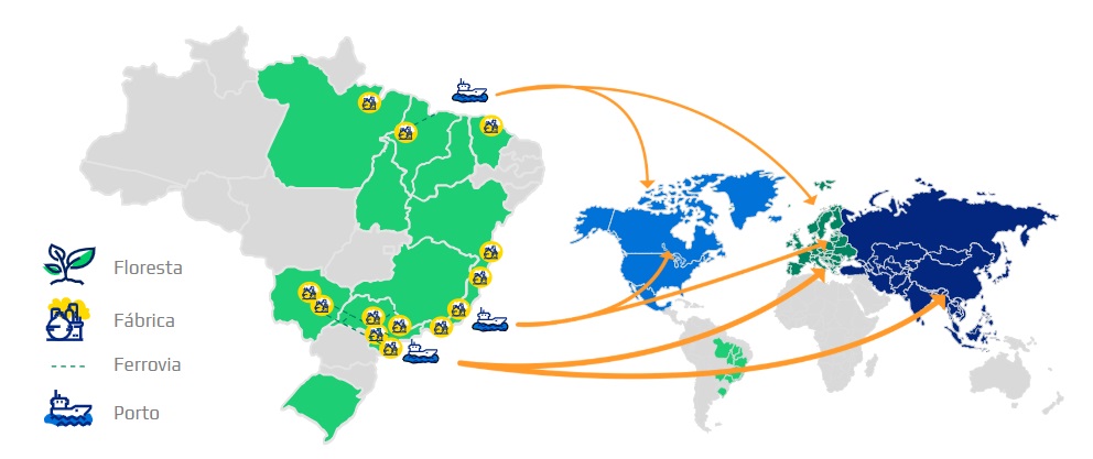 Resumo das operações da Suzano.