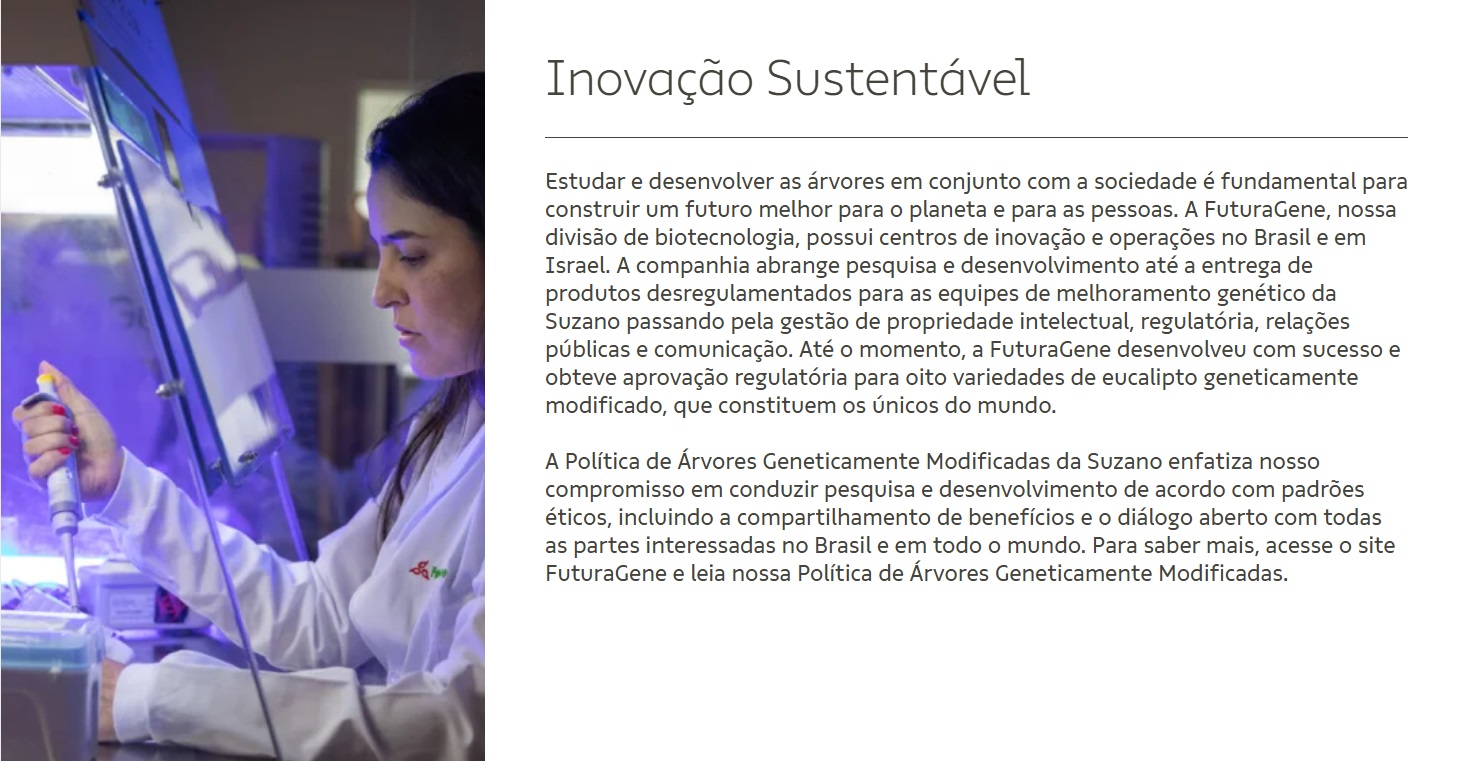 Inovação de processos na Suzano.