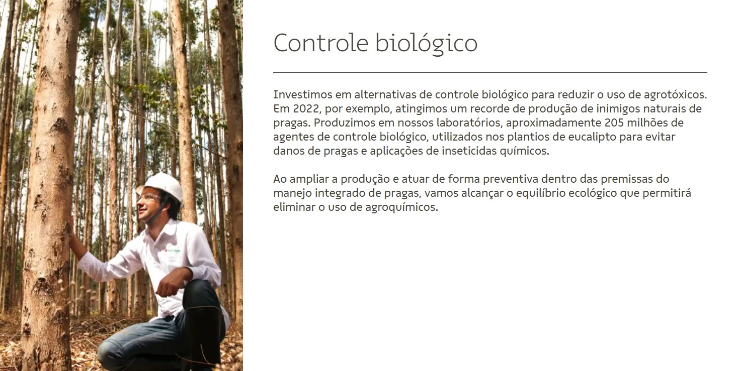 Inovação de processos na Suzano.