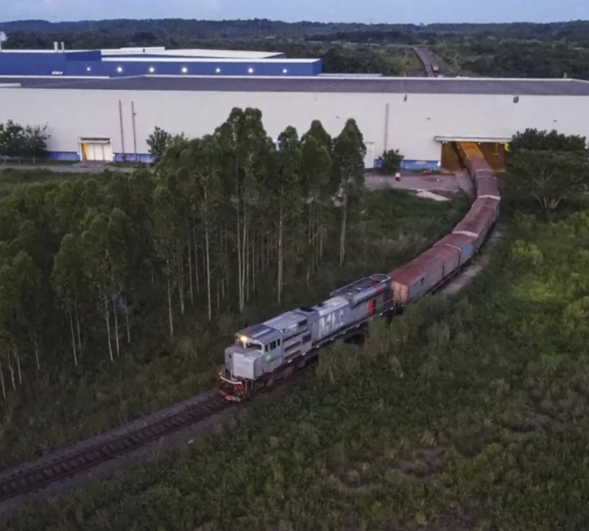 Figura de exemplo logístico da Suzano.