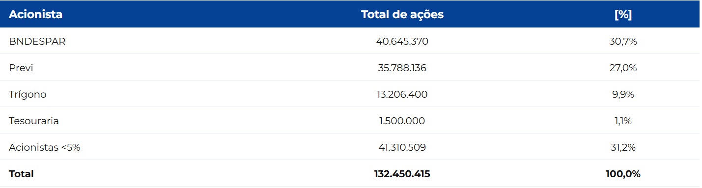 Estrutura Societária da Tupy.